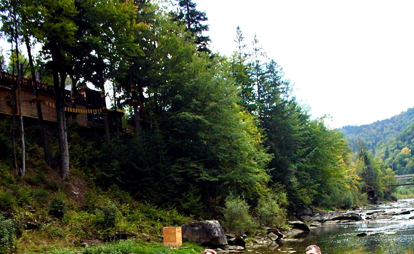 A quiet mountain river running through the forested Carpathian Mountains near Yaremche, Ukraine